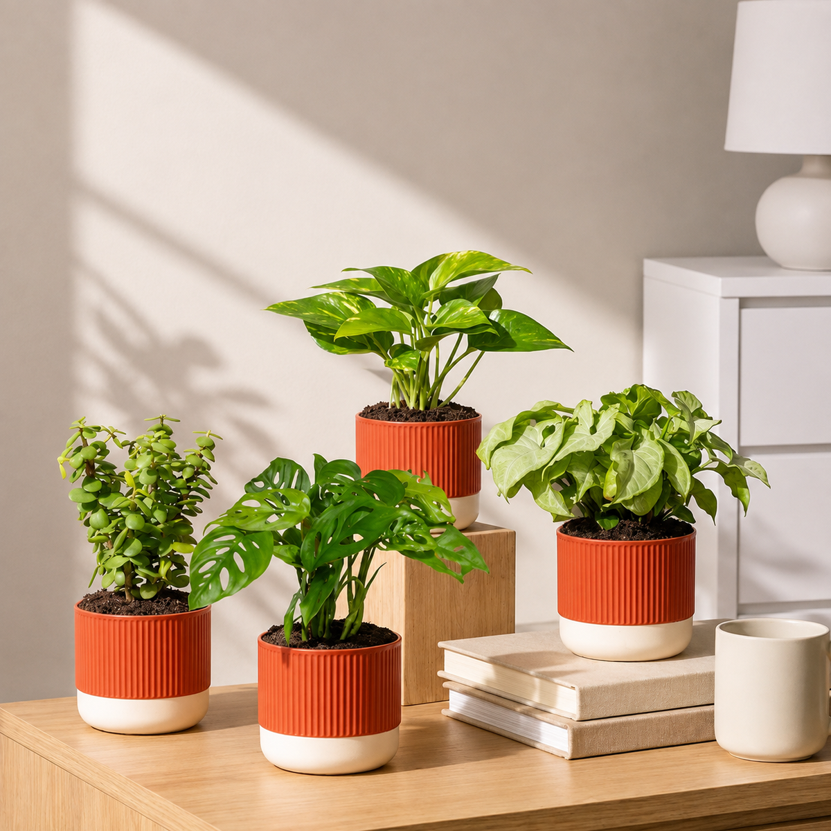 Work Desk Air Purifying Combo
