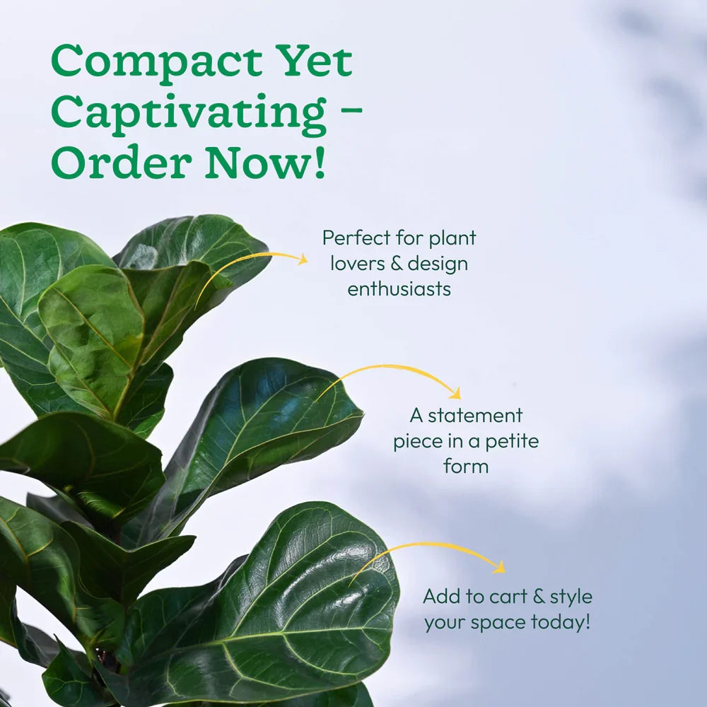 Green plant with promotional text on a blurred background